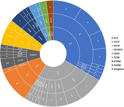 Genomic insights into the diversity, virulence, and antimicrobial resistance of group B Streptococcus clinical isolates from Saudi Arabia